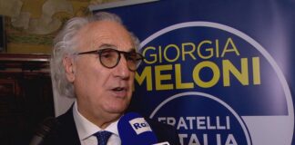 l'europarlamentare di Fratelli d'Italia, Remo Sernagiotto