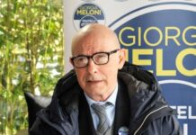 Riccardo Zucconi, Deputato di Fratelli d'Italia
