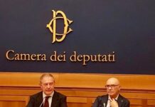Riccardo Zucconi, Onorevole di Fratelli d'Italia.