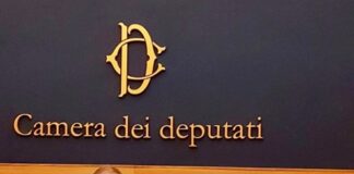 Riccardo Zucconi, Onorevole di Fratelli d'Italia.
