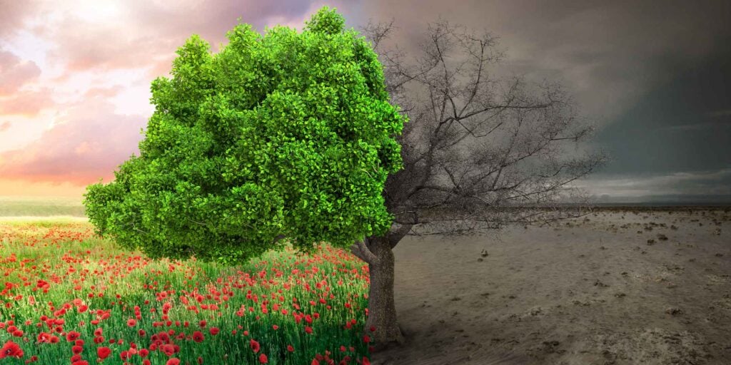 Ambiente, Meloni: difesa della Patria è anche preservare la Terra