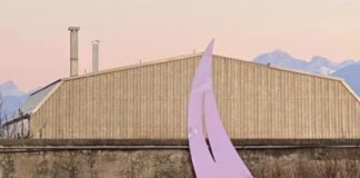 Da Piazza Puccini alla discarica: Fratelli d'Italia denuncia la fine delle 'Oceaniche' di Giulio Turcato