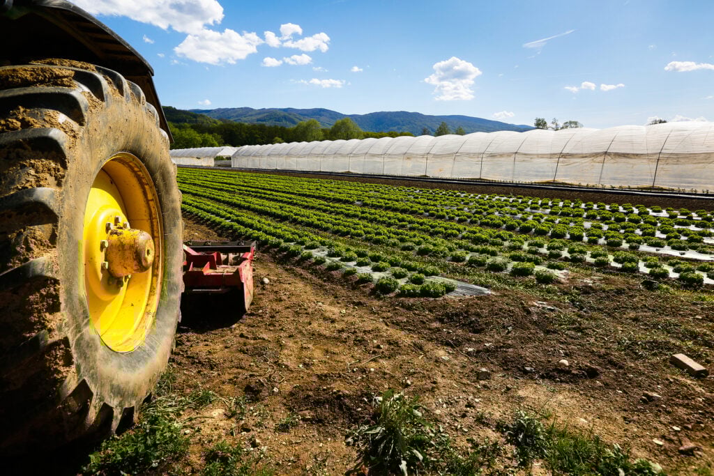 Agricoltura, al via al Masaf gli incontri promossi da FdI sul settore primario