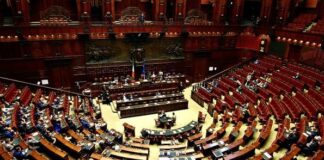 senato votazione