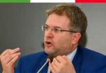 Carlo Fidanza, Capodelegazione di Fratelli d’Italia al Parlamento Europeo
