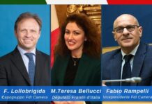deputato Maria Teresa Bellucci, promotrice del webinar e responsabile nazionale dipartimento Dipendenze di Fratelli d'Italia; saluti iniziali di Francesco Lollobrigida Capogruppo FdI alla Camera; conclusioni di Fabio Rampelli Vicepresidente della Camera
