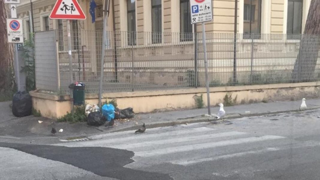 a causa dei rifiuti i gabbiani hanno invaso il centro di Viareggio ed in particolare via Mazzini