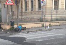 a causa dei rifiuti i gabbiani hanno invaso il centro di Viareggio ed in particolare via Mazzini