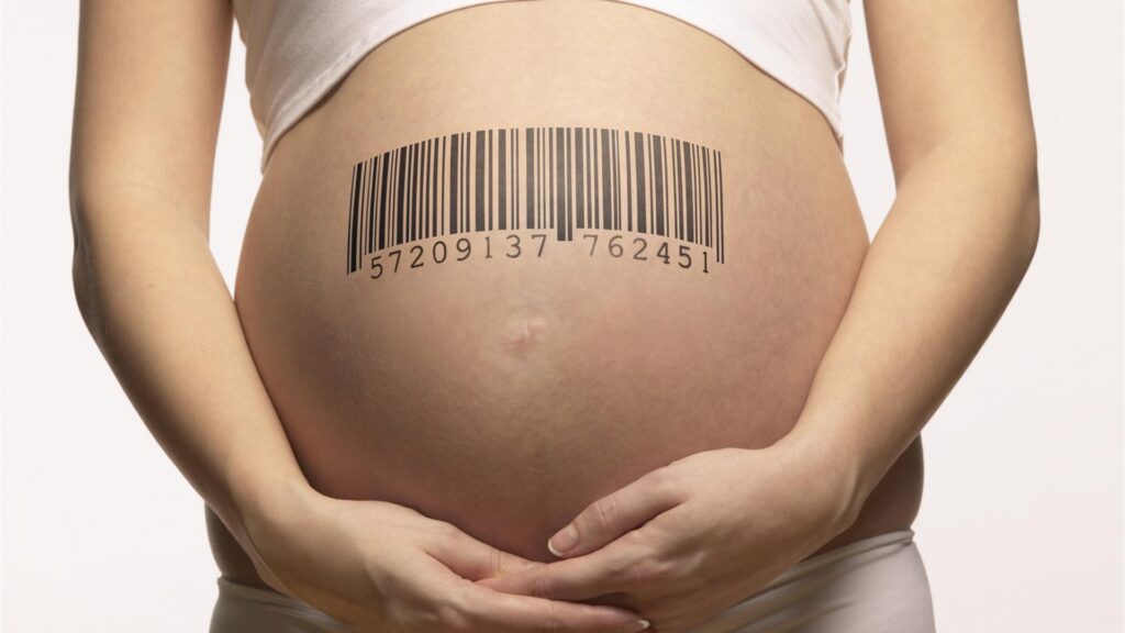 Utero in affitto, Meloni a Carfagna: Lavoriamo insieme per renderlo reato universale