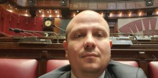 Deputato di FdI Salvatore Deidda.