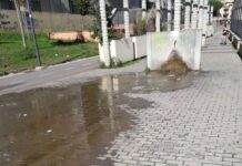 Parco Lineare Ciclopedonale