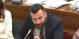 Alessandro Zan, Parlamentare del Pd