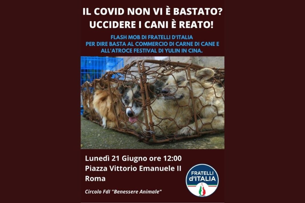 Locandina del flash mob di FdI contro il commercio di carne di cane e il Festival di Yulin.