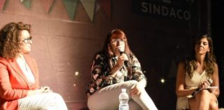 Cinzia Pellegrino, Coordinatore nazionale del dipartimento tutela vittime di Fratelli d'Italia.