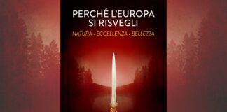 Perché l'Europa si risvegli