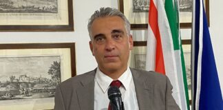 Diego Petrucci, Consigliere regionale Fratelli d'Italia.