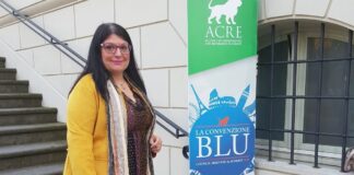 Cinzia Pellegrino, Coordinatore nazionale del Dipartimento tutela Vittime di Fratelli d'Italia.
