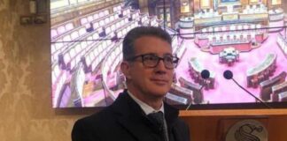 Roberto Cuccioletta, Coordinatore Regionale del Dipartimento Professioni di Fratelli d’Italia.