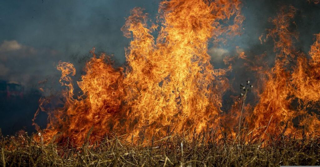 Campania. Terra dei fuochi: prefetto di Napoli, incendi in calo del 10 per cento