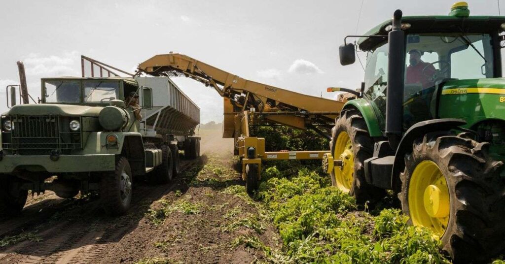 Agricoltura, Italia prima in Europa: così il Governo ha difeso i contadini dalla tirannia green